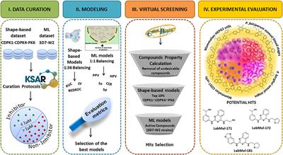 Integrative Multi-Kinase Approach for the Identification of Potent Antiplasmodial Hits